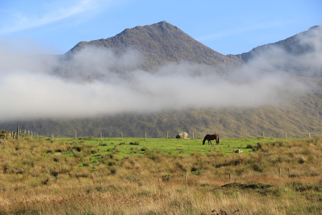 The Reeks Cottage كيلارني المظهر الخارجي الصورة